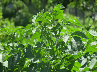 Similar image 21059333