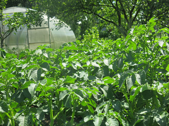 Similar image 21059334