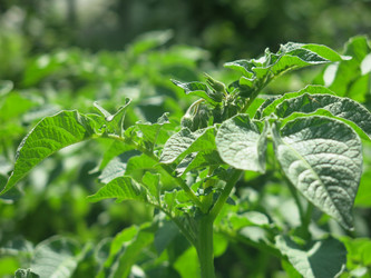 Similar image 21059335