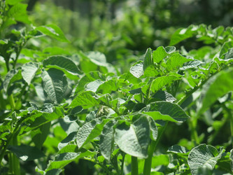 Similar image 21059336