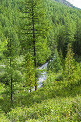 Similar image 21059431