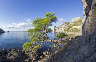 Similar image 21059439