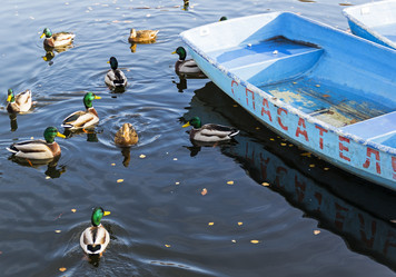 Similar image 21059449