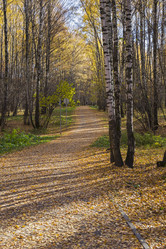 Similar image 21059450