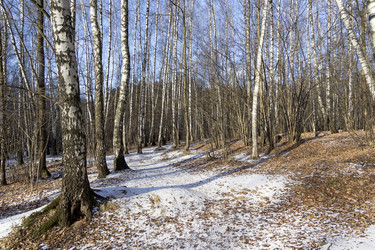 Similar image 21059452