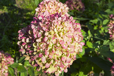 Similar image 21059454