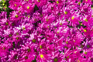 Similar image 21059456