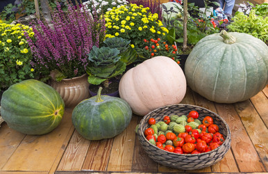 Similar image 21059462