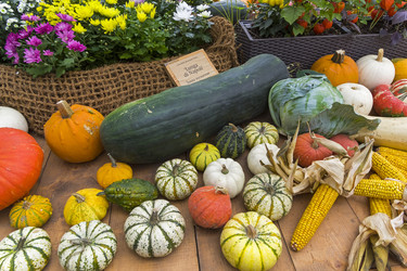 Similar image 21059463