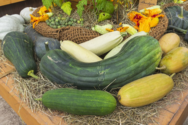 Similar image 21059465