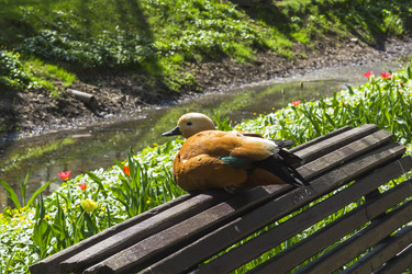 Similar image 21059470