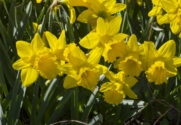 Similar image 21059471