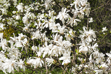 Similar image 21059472