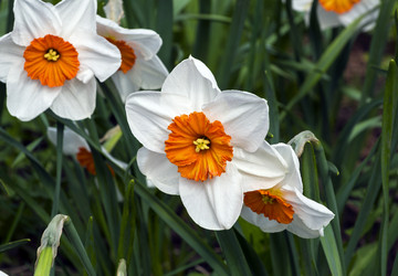 Similar image 21059477