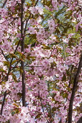 Similar image 21059478