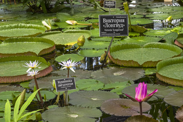 Similar image 21059480