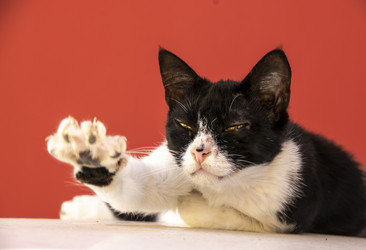 Similar image 21059351