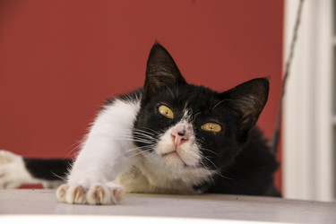 Similar image 21059352