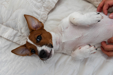 Similar image 21062574