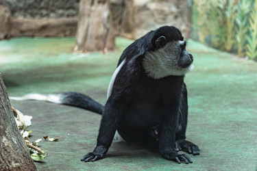 Similar image 21062577