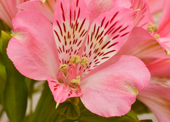 Similar image 21068919