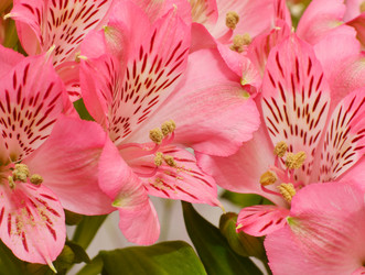 Similar image 21068921