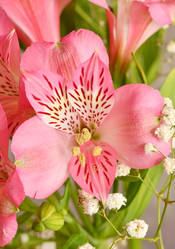 Similar image 21068922