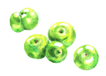 Similar image 21062963