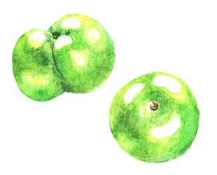 Similar image 21062965