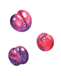 Similar image 21062984