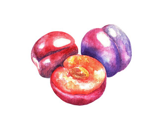 Similar image 21062994