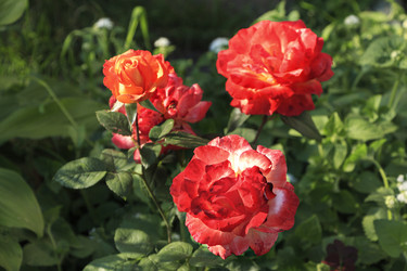 Similar image 21062578