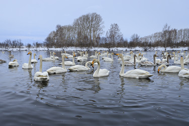 Similar image 21067756