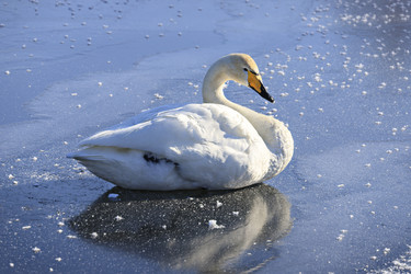 Similar image 21062580