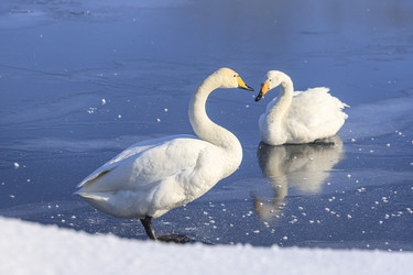 Similar image 21067758