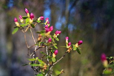 Similar image 21062581