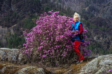 Similar image 21062582