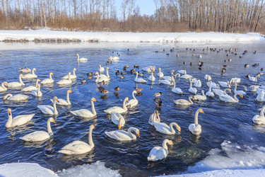 Similar image 21067763