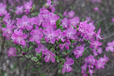 Similar image 21062583