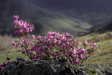 Similar image 21062584