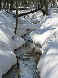 Similar image 21063001