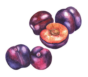 Similar image 21063008