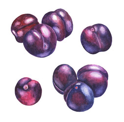 Similar image 21063012