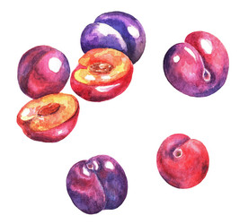 Similar image 21063013