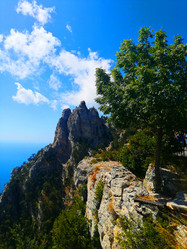 Similar image 21062586