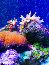 Similar image 21062587