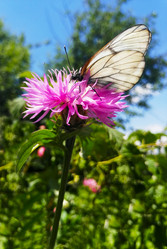 Similar image 21062590