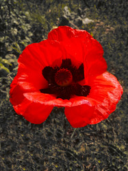 Similar image 21062591