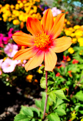 Similar image 21062655