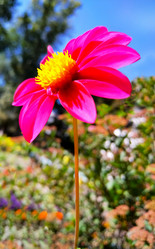 Similar image 21062656